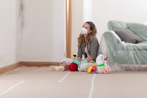 Reliable Crawl Space Mold Remediation contractor in Frisco, TX by Mold Remediation HQ